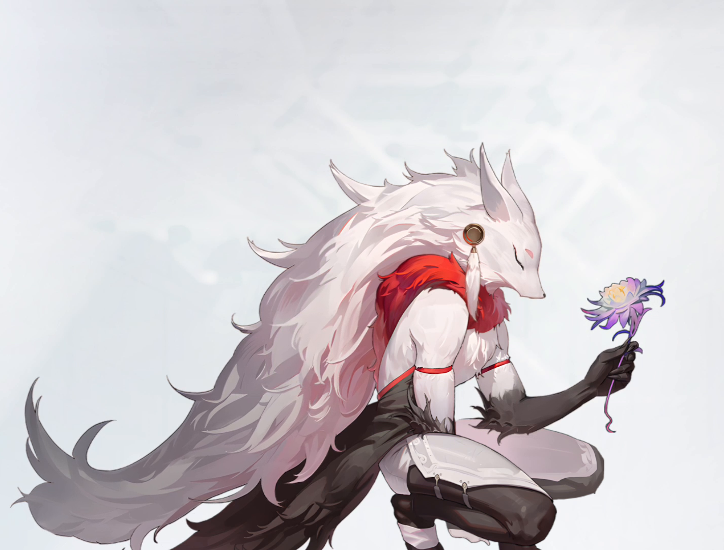 Zatera